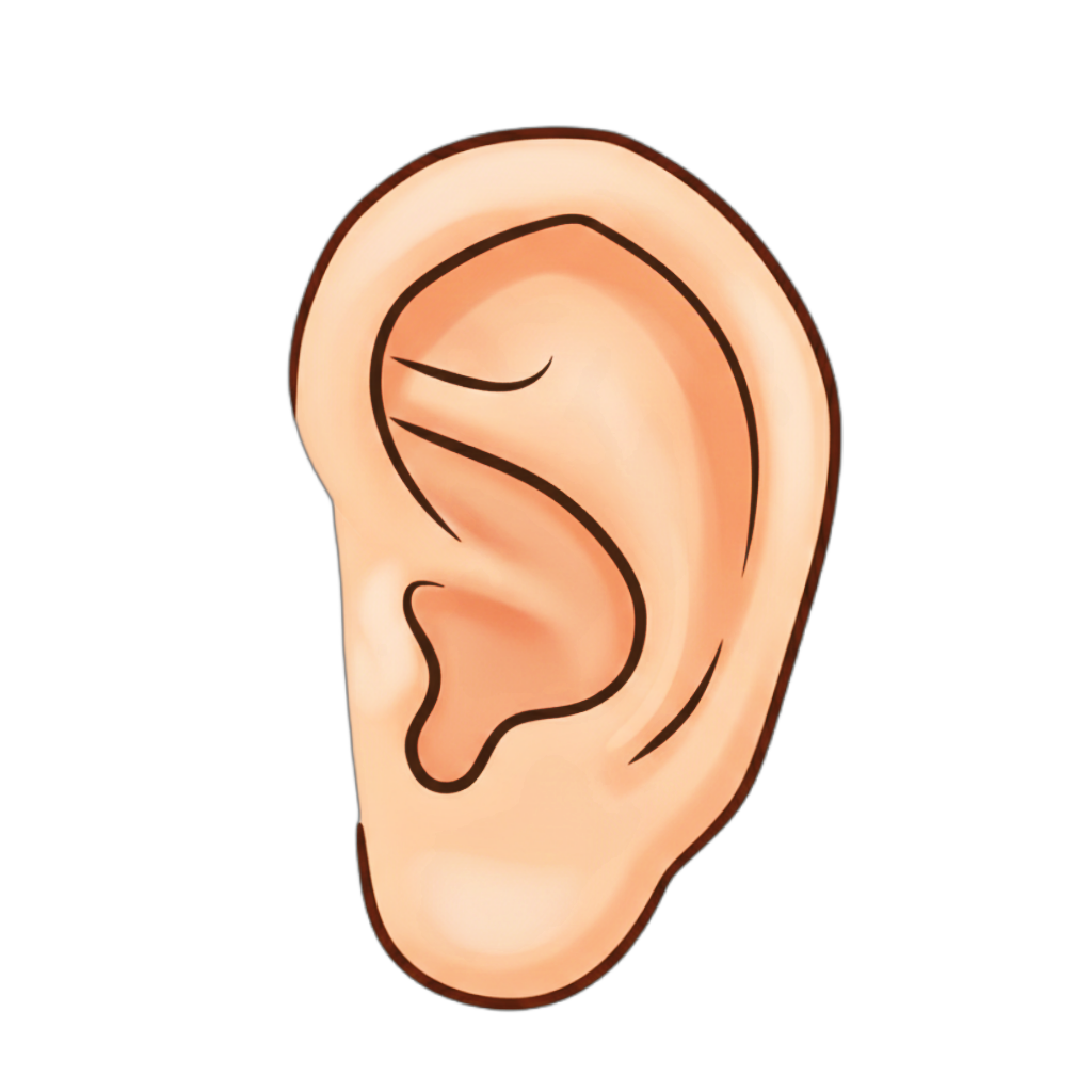 Ear illustration for kids learning letter E