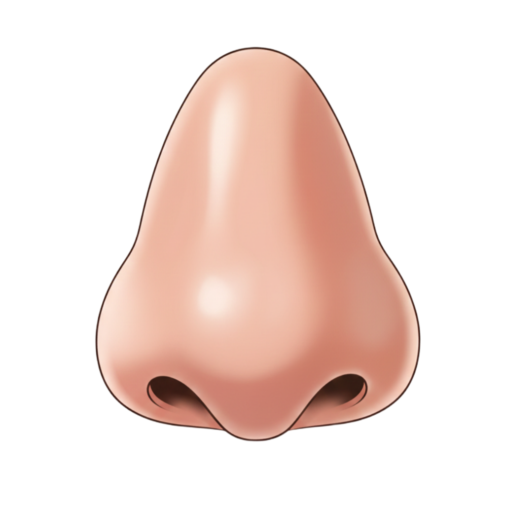 Nose